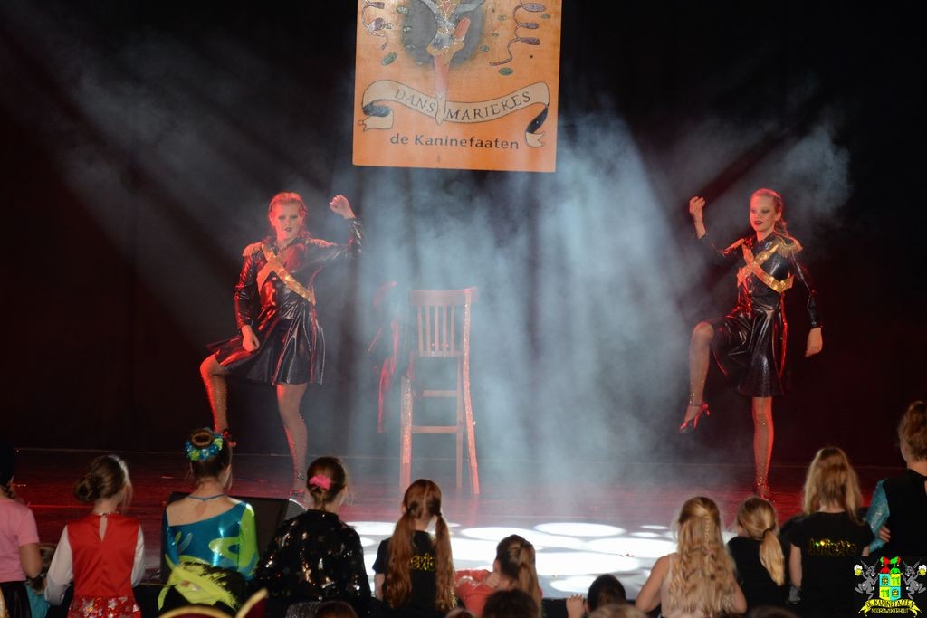 ../Images/Dansmarieke festival 2018 443.jpg
